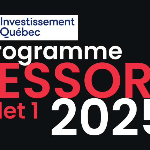 Programme ESSOR Volet 1 : Votre Tremplin Vers l’Excellence Entrepreneuriale au Québec
